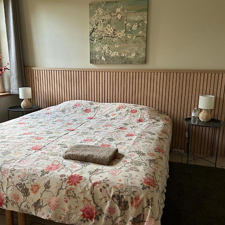 Au Coeur Des Collines, Charmette Villa Ellezelles Екстериор снимка