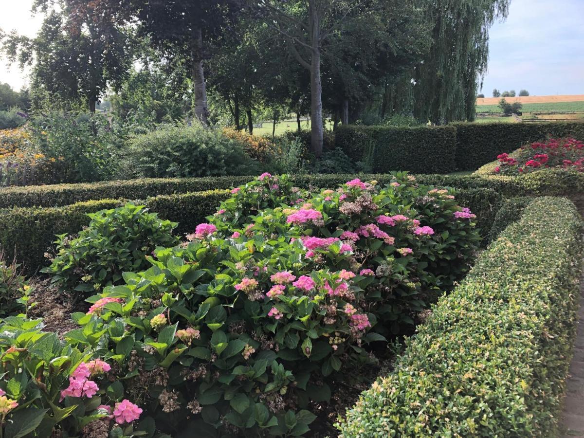 Au Coeur Des Collines, Charmette Villa Ellezelles Екстериор снимка